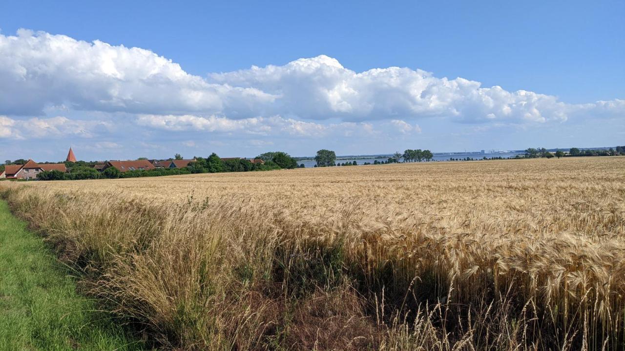 Ferien Auf Der Insel Poel Lejlighed Kirchdorf  Eksteriør billede